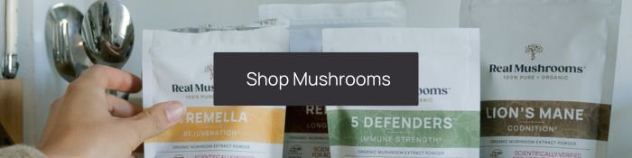 shop real mushrooms