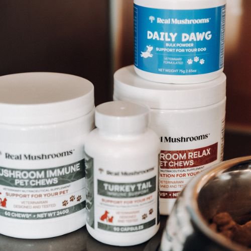 mushroom supplements for pets