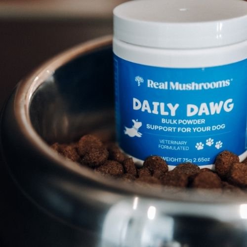 daily dawg powder