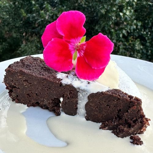 tremella and lion's mane chocolate fudge cake