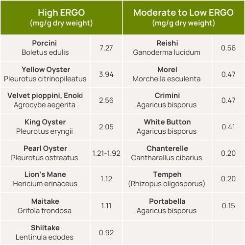 a table showing the ergo levels of mushrooms to help support cognitive health