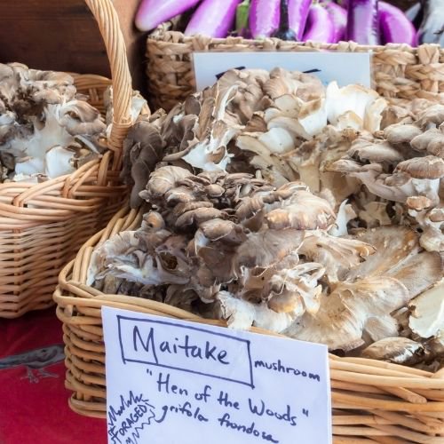 maitake mushrooms in a basket with a label 'Maitake Mushroom Hen of the Woods'