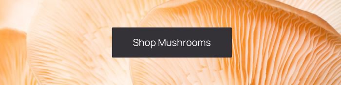 shop mushrooms