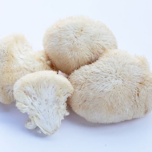 lion's mane mushrooms