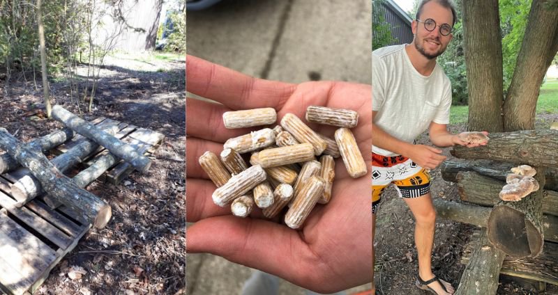 How Mushroom Gardening Can Improve Your Mental Health cover