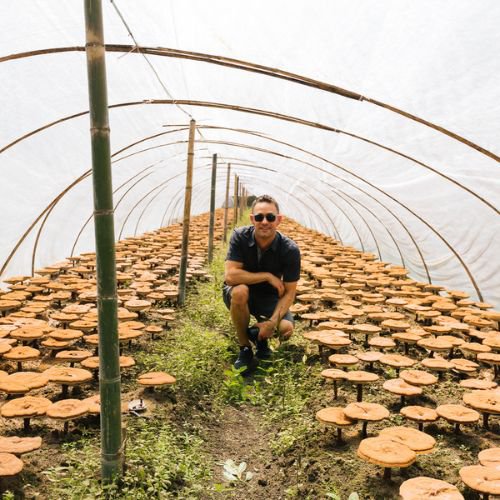 A man sitting in a mushroom garden with mushrooms around him