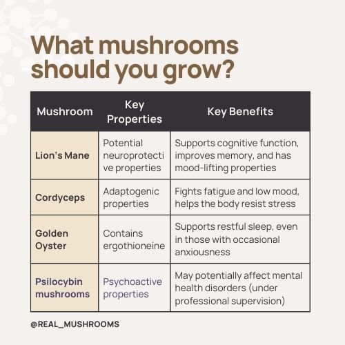 table of mushrooms that you should grow with their key properties and key benefits