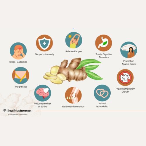 health benefits of ginger