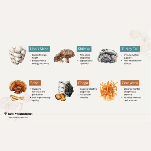 benefits of mushrooms