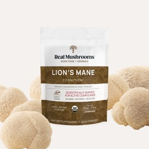 Lion's Mane, a nootropic mushroom, in a pouch as a powder extract 