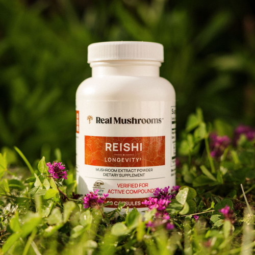 A bottle of Real Mushrooms Reishi Longevity dietary supplement with mushroom vitamins nestled among green leaves and purple flowers.