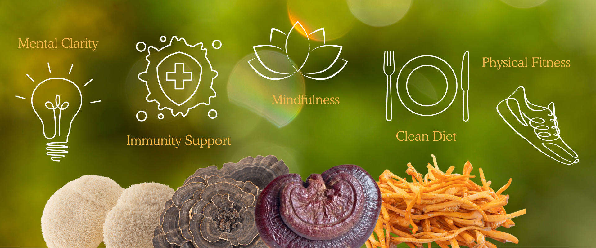 Mushrooms for 2025 Resolutions: Supporting 5 Wellness Goals cover