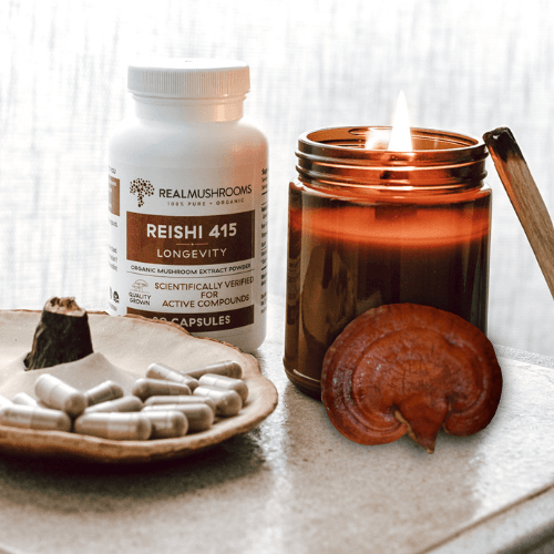 reishi mushroom, reishi capsules and reishi supplement bottle