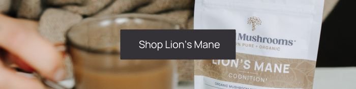 shop lion's mane for your lion's mane chicken