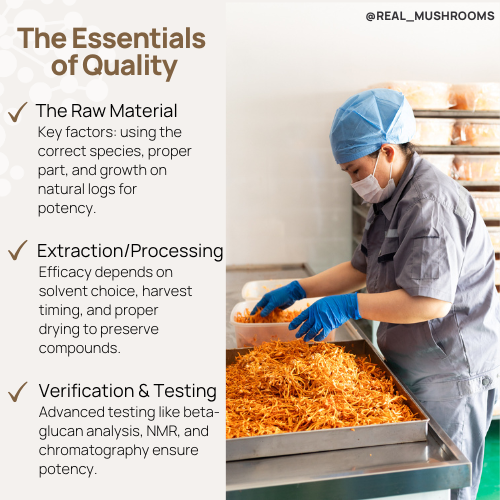 A worker in a lab coat and mask processes the best functional mushrooms on a tray. Text highlights mushroom quality essentials: raw material, extraction/processing, and verification/testing.