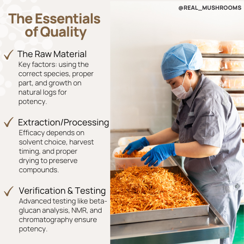 The essentials of quality checklist for best functional mushrooms