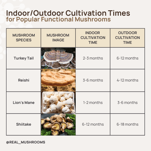 table showing how long it takes to grow mushrooms