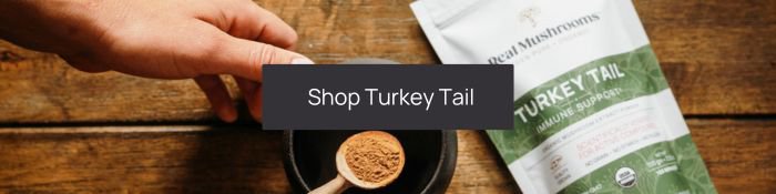 shop turkey tail mushrooms