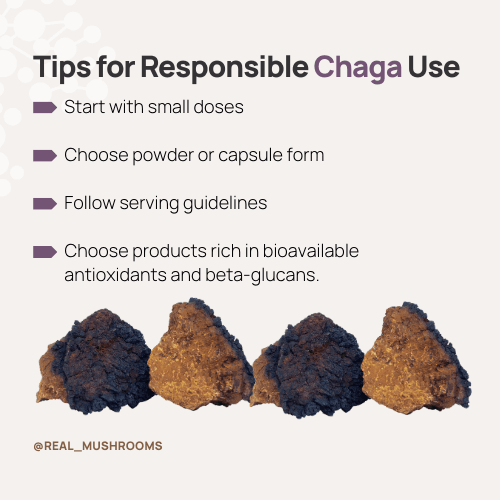 tips for responsible chaga use