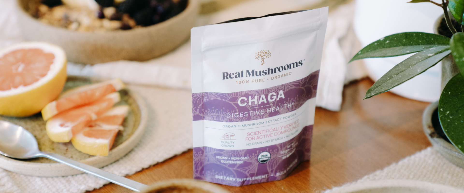 Chaga Warnings and Health Effects You Need to Know cover