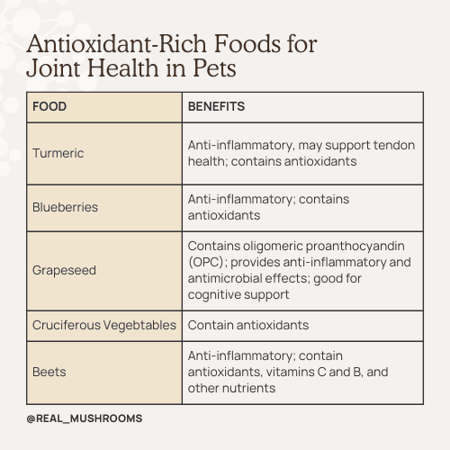 table of antioxidant-rich foods for joint health in pets