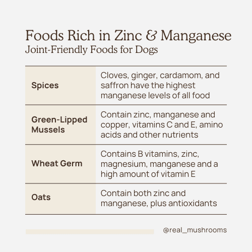 table of joint friendly foods for dogs