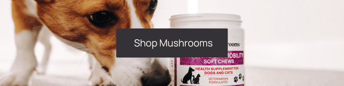 shop mushrooms