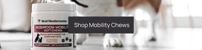 shop mobility chews for joint care for dogs and cats