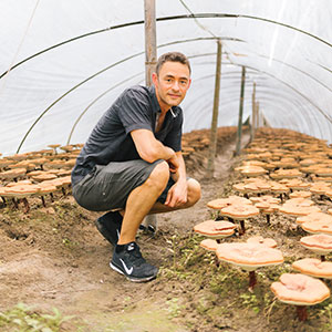 Skye Chilton squats in a greenhouse tunnel, surrounded by flourishing mushroom cultivation beds.