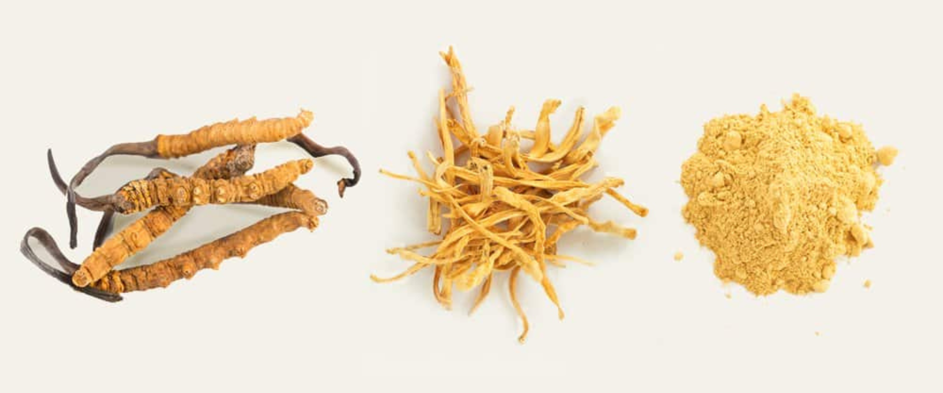 What Are The Side Effects Of Cordyceps Mushrooms? cover