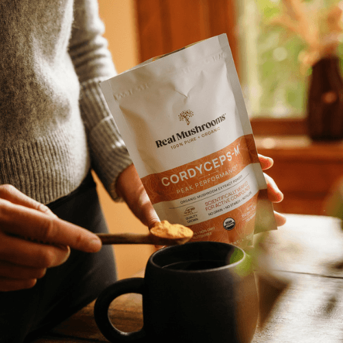 cordyceps powder in a pouch and a hand holding a teaspoon of cordyceps mushrooms