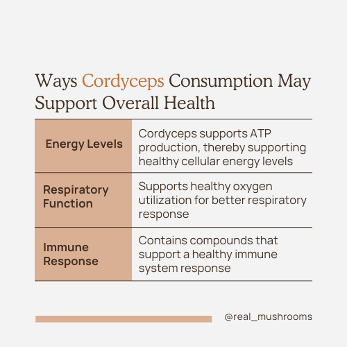 How cordyceps mushrooms can support overall health