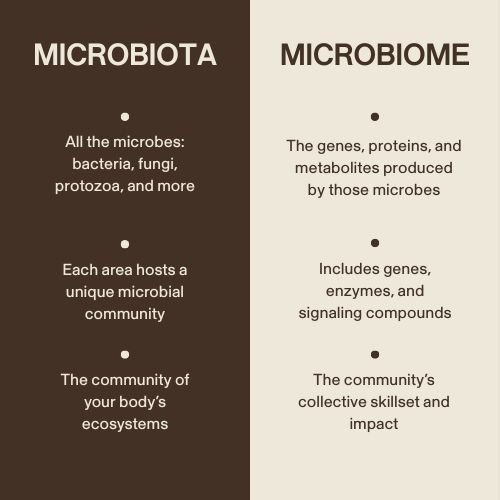 Columns showing the differences of Microbiota and Microbiome