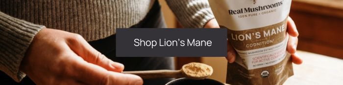 Shop lion's mane button with hald holding spoon with lion's mane powder and pouch as the background