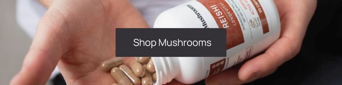 shop mushrooms button with hand holding reishi bottle and capsules as the background